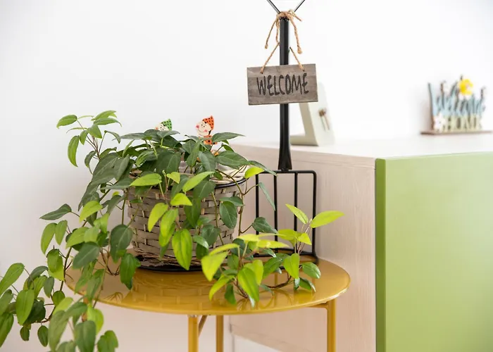 Springhome - Cozy Apartment With Balcony & Parking