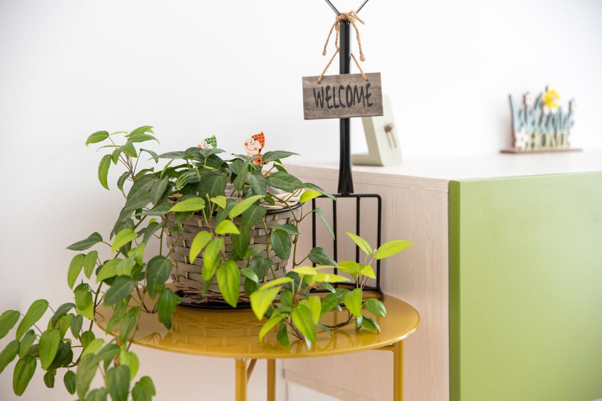 Apartment Springhome - Cozy With Balcony & Parking *